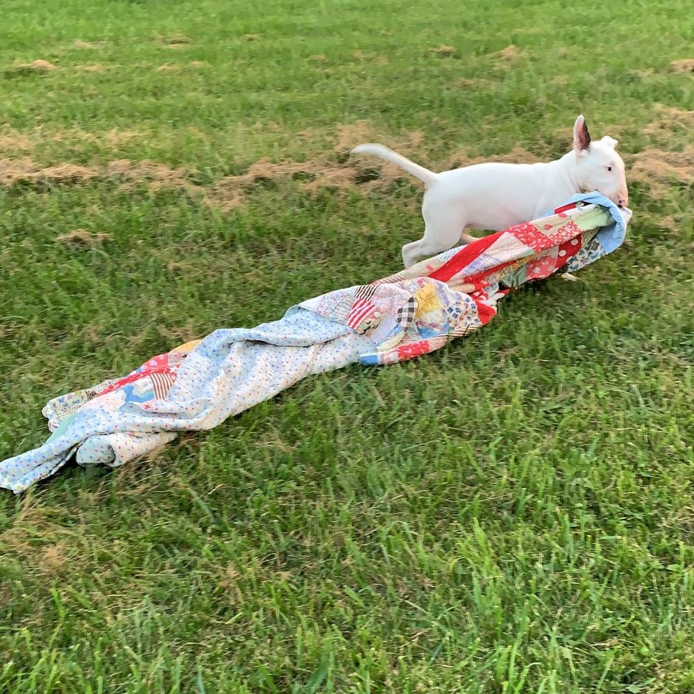 Meet your Posher, Zora